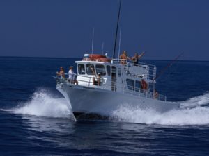 Midday Snorkel Cruise | Ocean Encounters